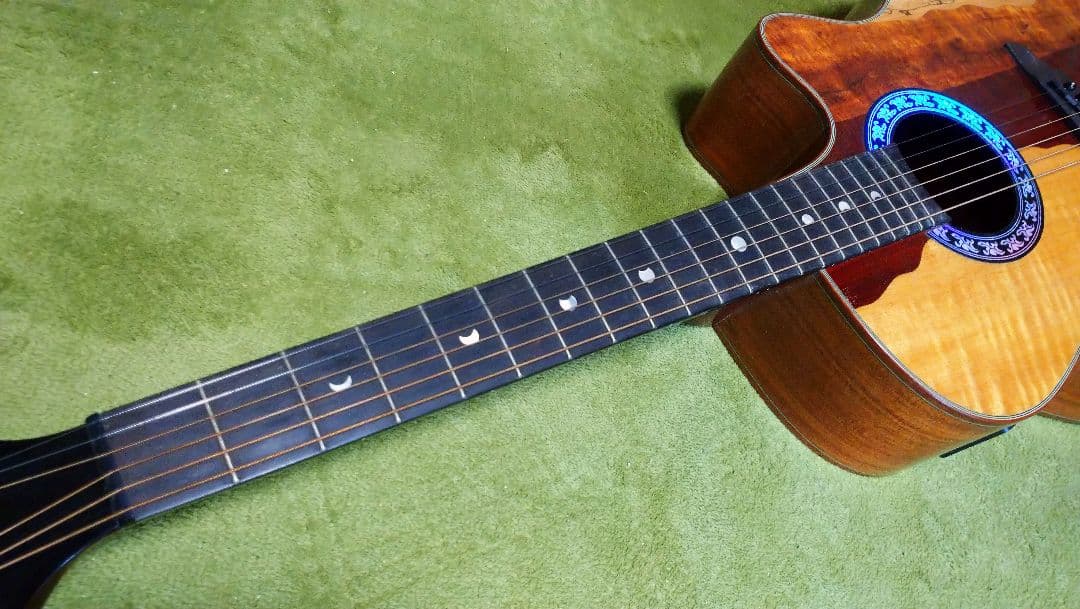 ギター LUNA GUITARS VISTA EAGLE