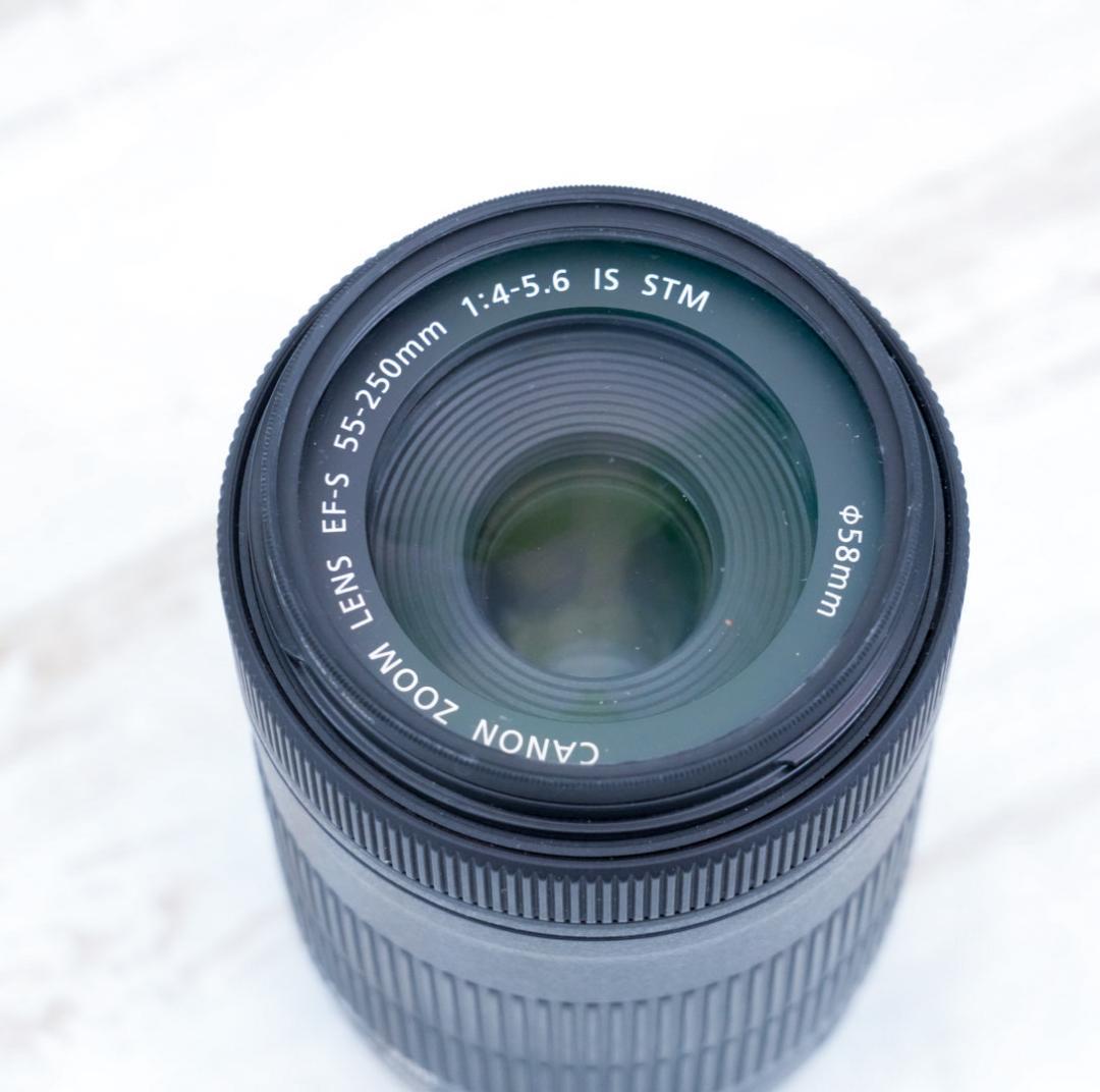 【高性能望遠レンズ】Canon EF-S 55-250mm IS STM 美品
