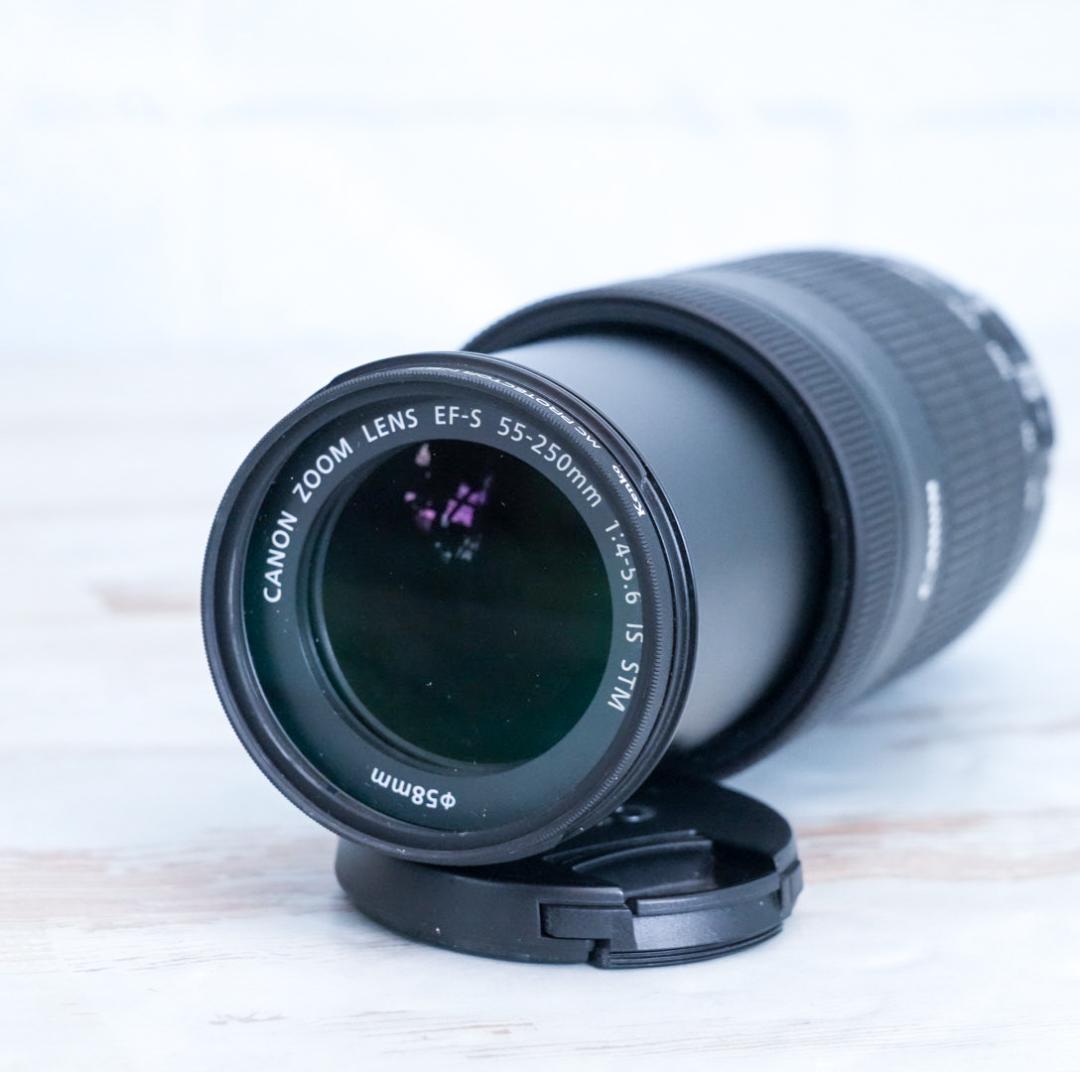 【高性能望遠レンズ】Canon EF-S 55-250mm IS STM 美品