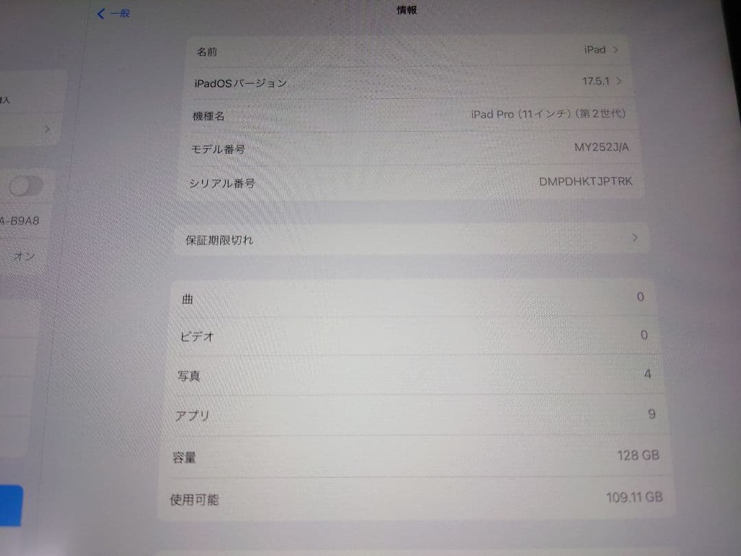 Apple iPad Pro 11インチ 第2世代 128GB 本体