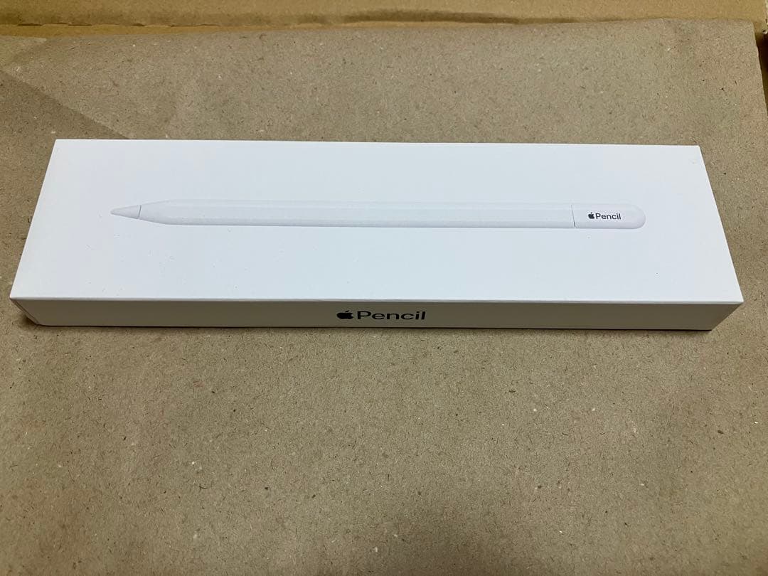 アップルペンシル Apple Pencil (USB-C)