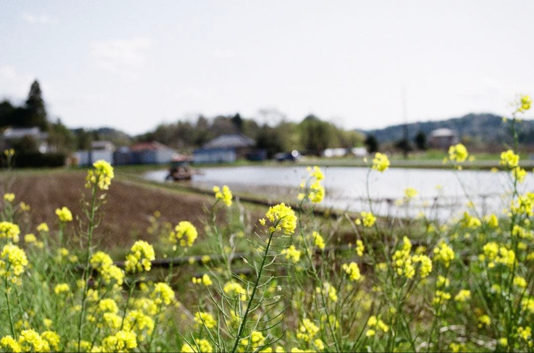 Nikon new FM2 （ハニカムチタンシャッター幕）シルバー 美品