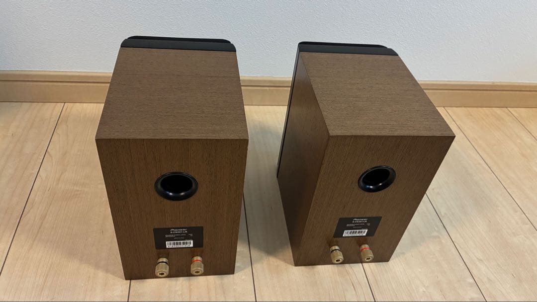 Pioneer S-CN301-LR スピーカーシステム