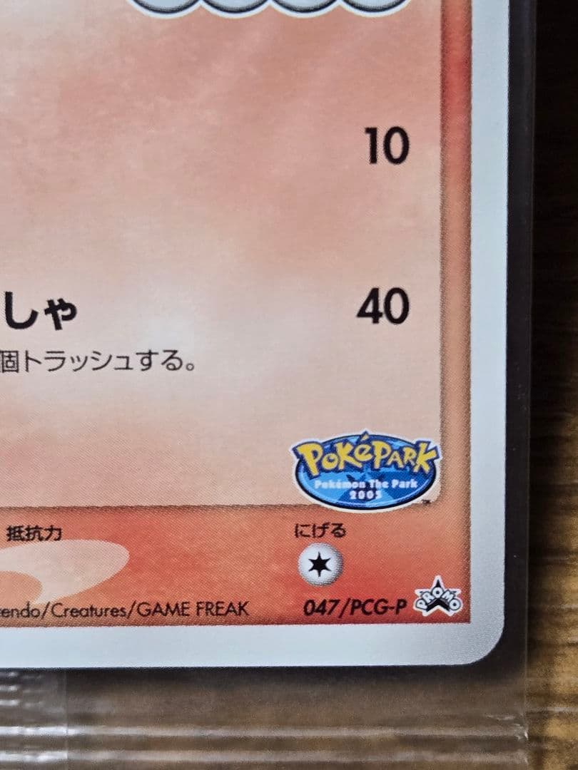 ポケパークのアチャモ プロモ 047/PCG-P ポケモンカード