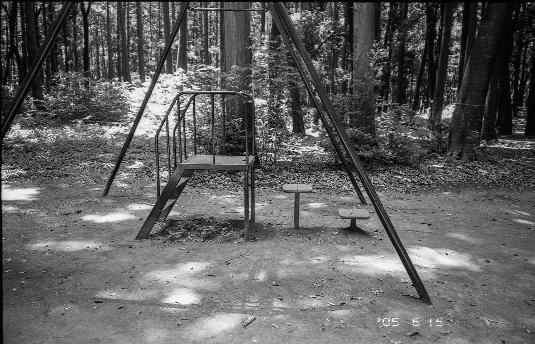 ＜作例あり＞FUJIFILM NATURA CLASSICA ナチュラ　クラシカ