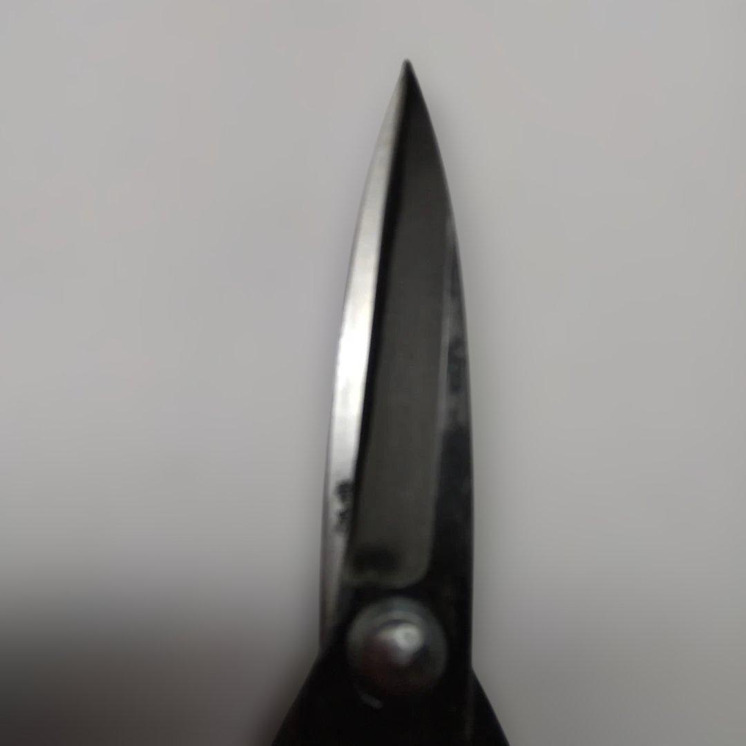 りゅうちゃん　植木鋏（左用）（青）（三寸五分） ステン刃長大久保　2点