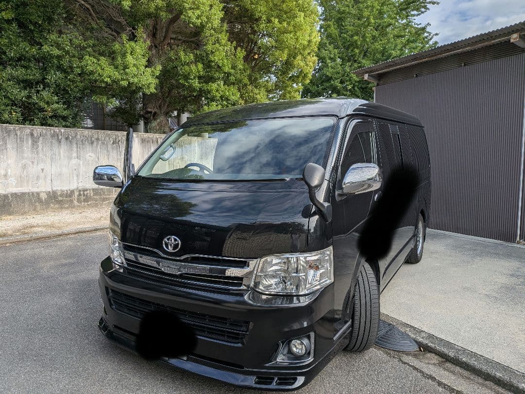 ※見んみんです