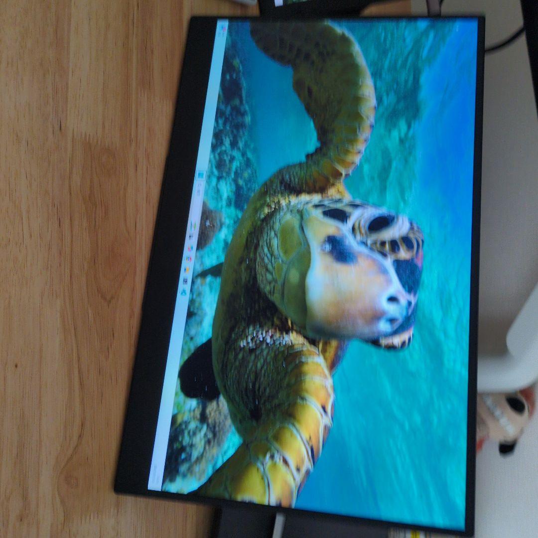 ディスプレイ・モニター本体 cocopar Portable Monitor YC-156R