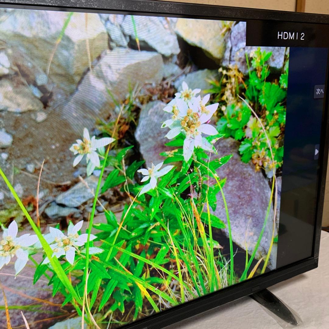 IRIS OHYAMA ハイビジョン液晶テレビ LT-32A320 2020年製