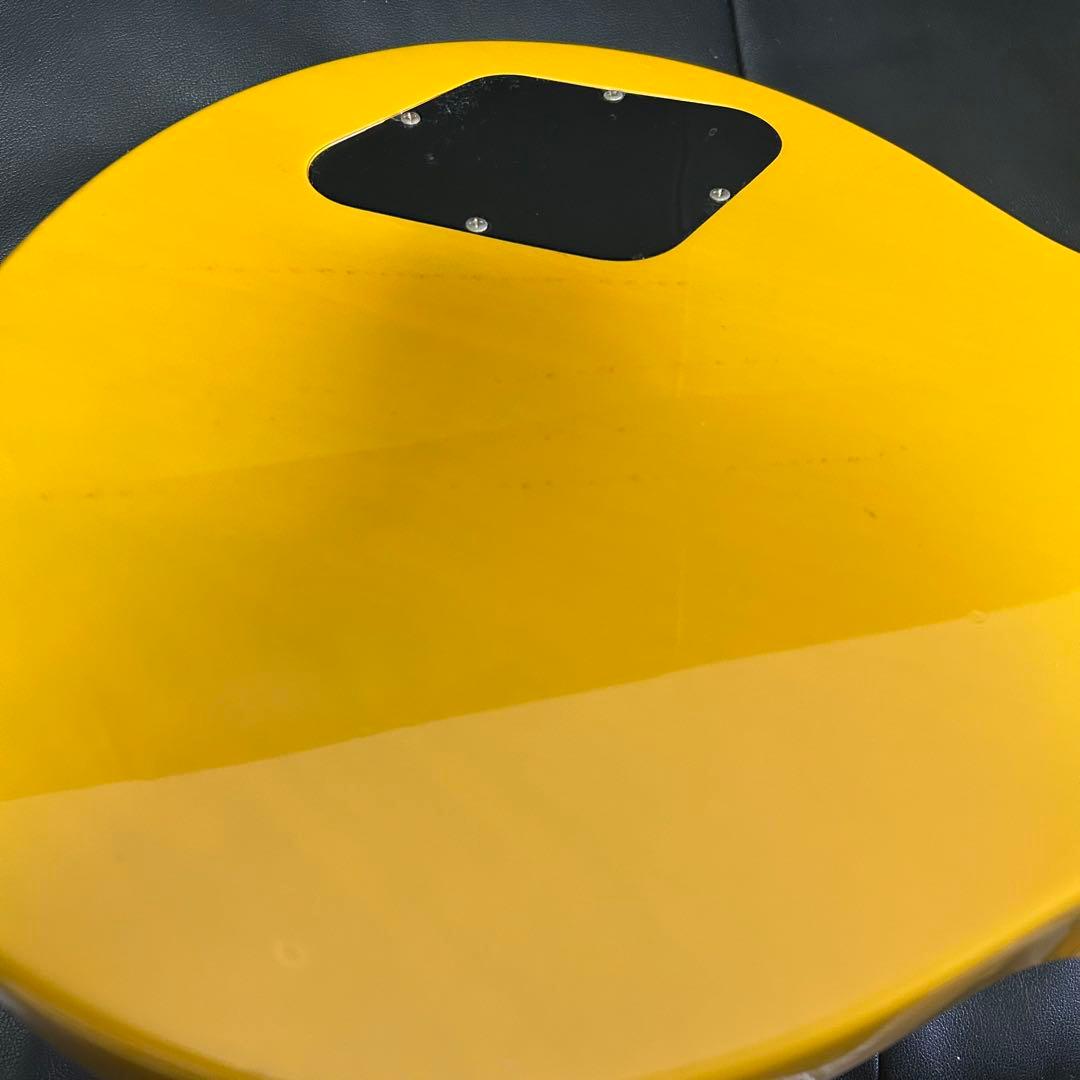 Blitz by Aria Pro2 レスポールスペシャル(ジャンクケース付)