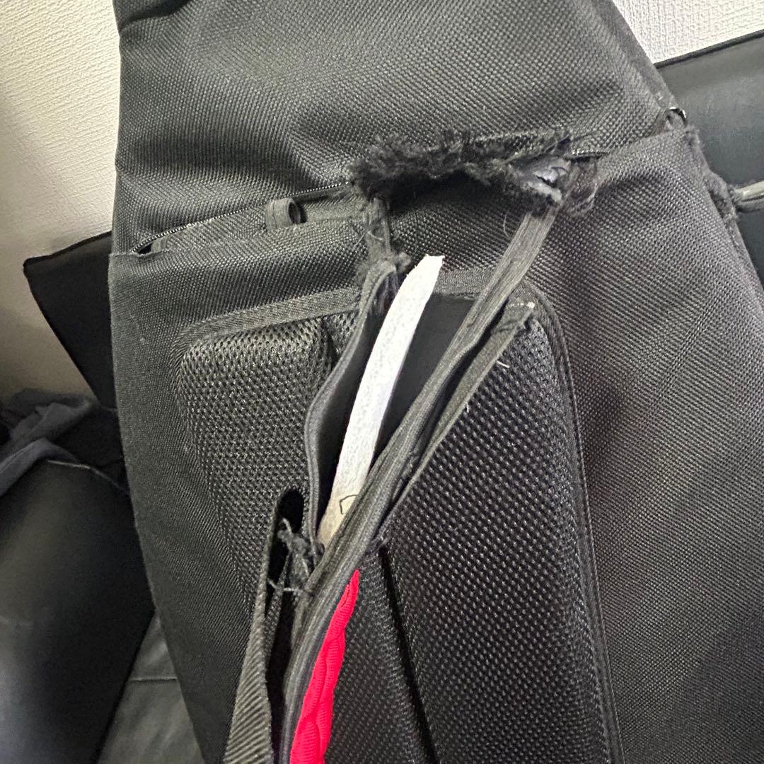 Blitz by Aria Pro2 レスポールスペシャル(ジャンクケース付)