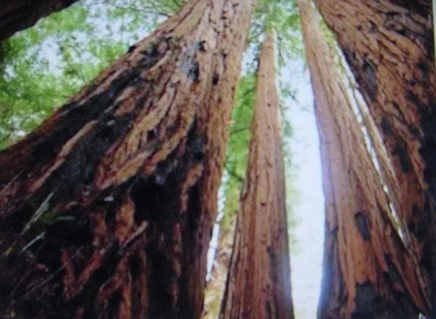 Apple iMac シルバー 元箱付き