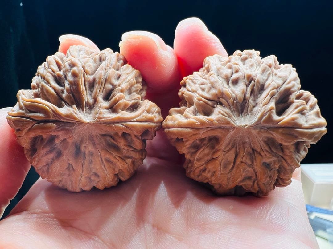 文玩堂：「2025年、市場で最も人気のある胡桃の一つ、饕餮紋獅子頭。」