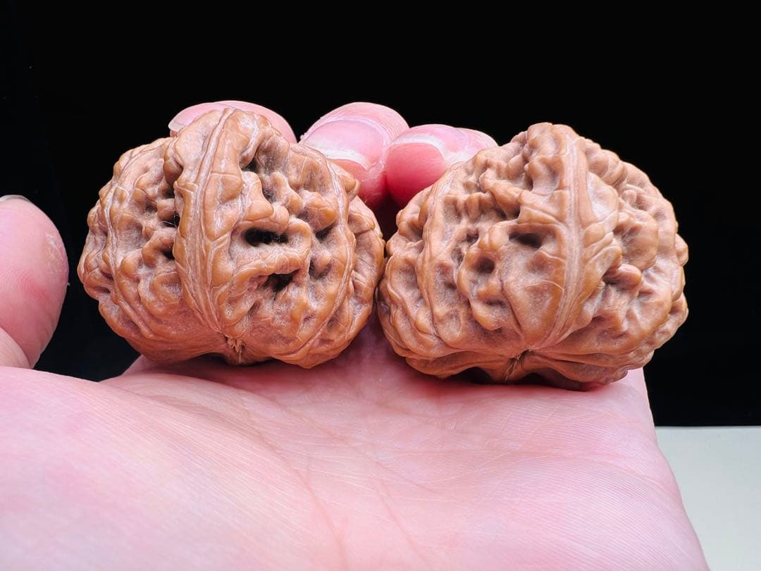 文玩堂：「2025年、市場で最も人気のある胡桃の一つ、饕餮紋獅子頭。」