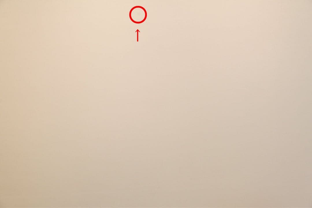 美品　Canon EOS 5D Mark II 本体 バッテリーグリップ付き