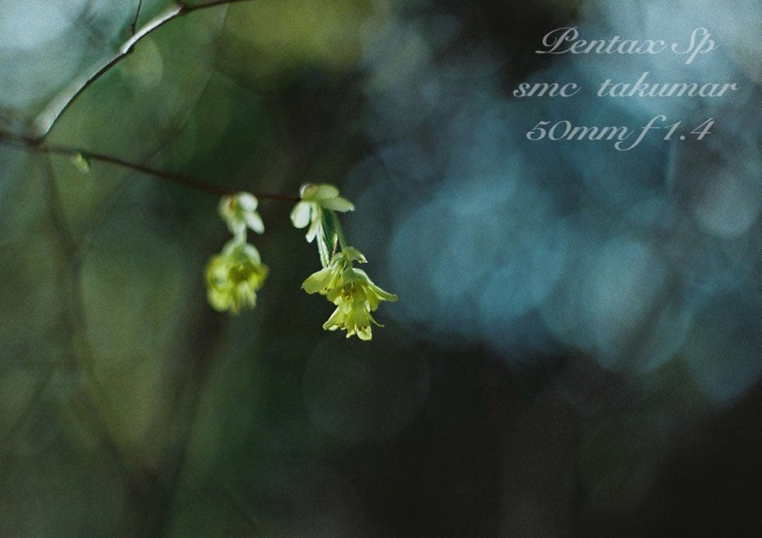 ★完動品＊美品★pentax sp★smc f1.4★初期保証＊作例必見