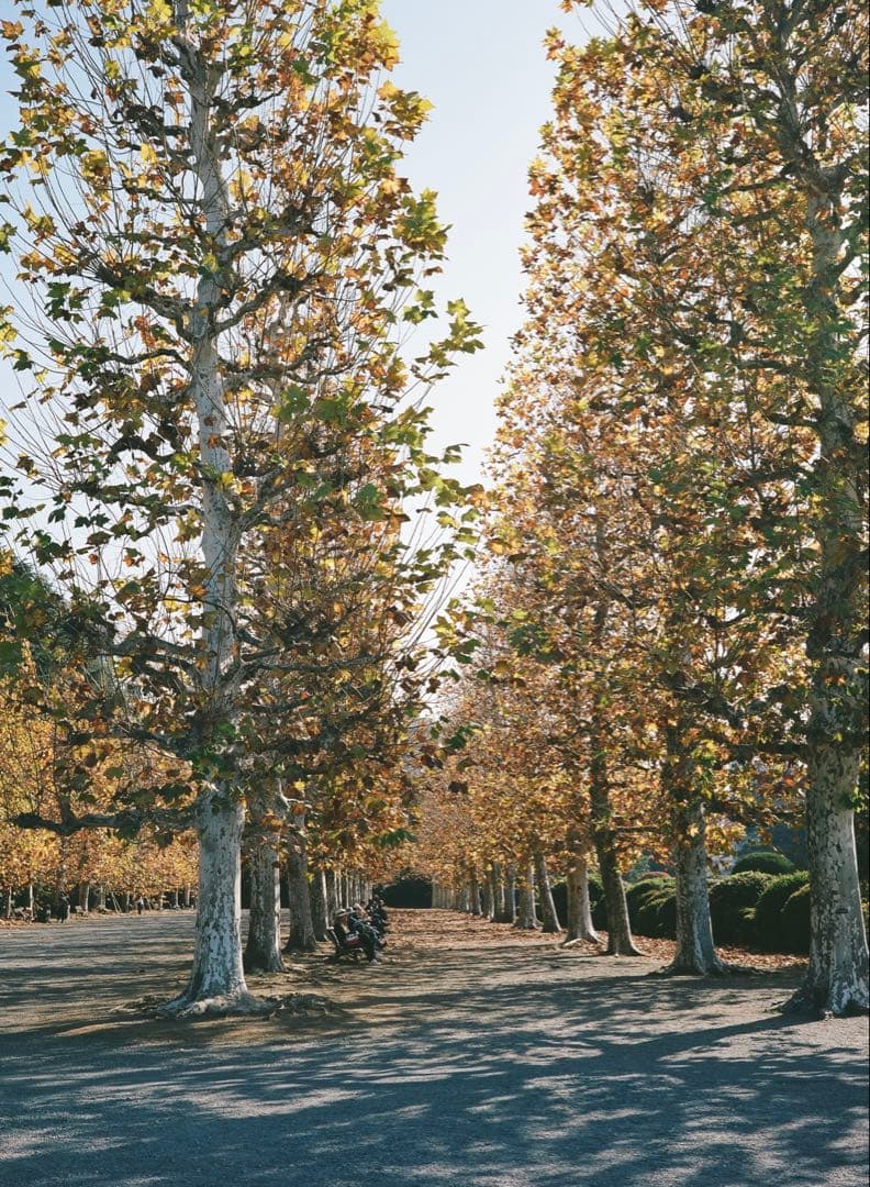 【即発送可！完動品作例あり】FUJIFILM GA645Professional