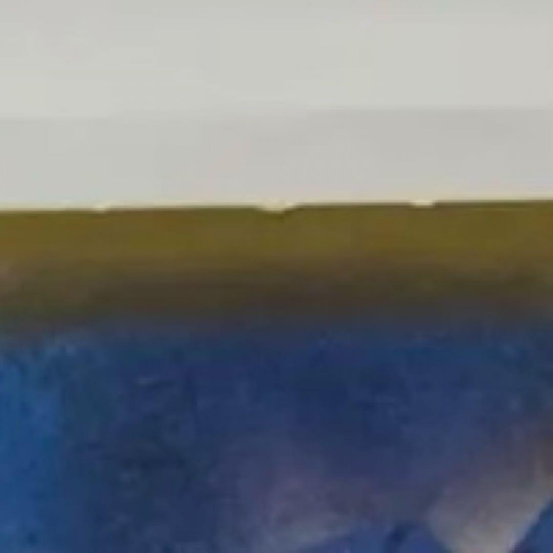 ブラッキーVMAX CSR S8b VMAXクライマックス 245/184