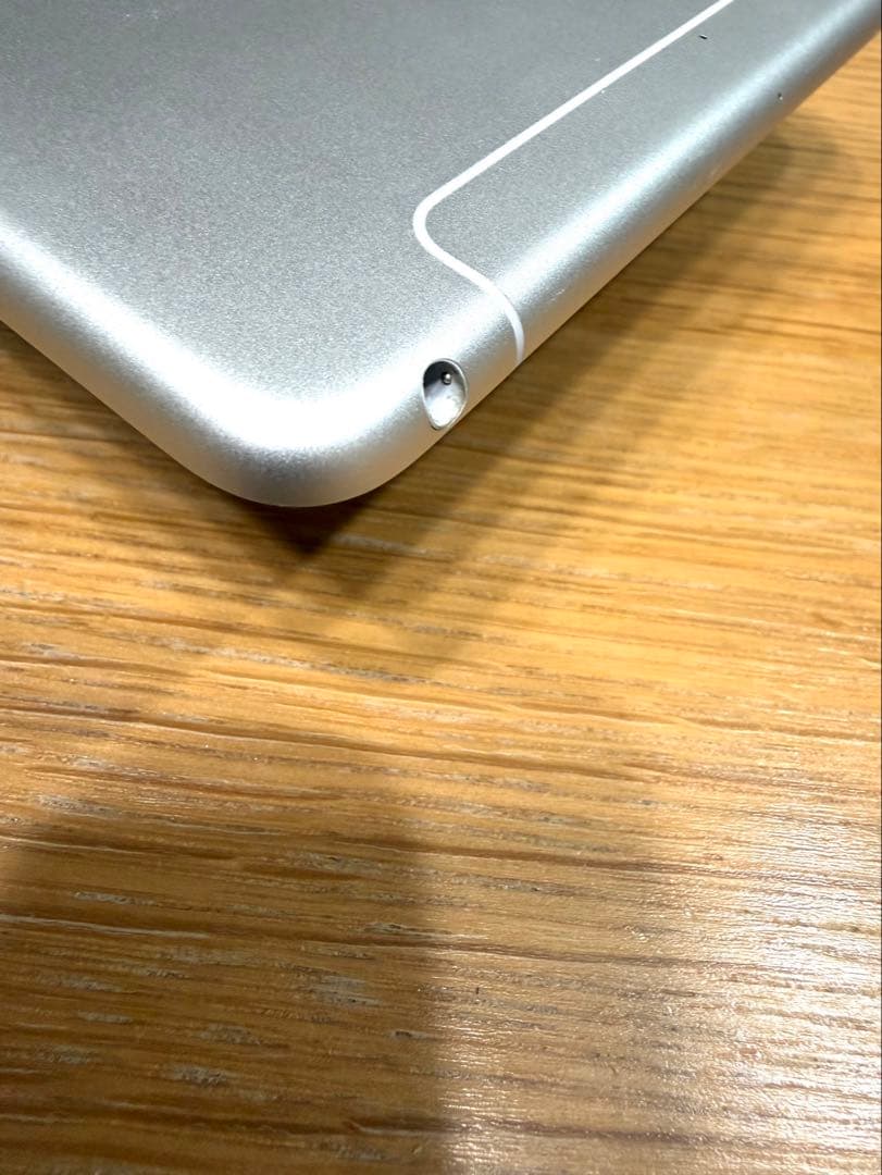 iPad mini 第5世代 Wi-Fi+Cellular 256GB シルバー
