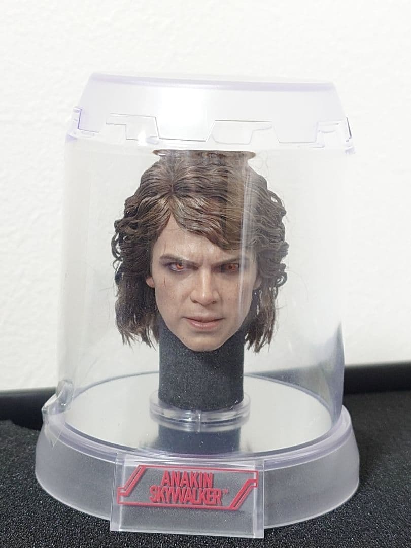 R*様 ホットトイズ 1/6アナキン【SWイベント限定】植毛版