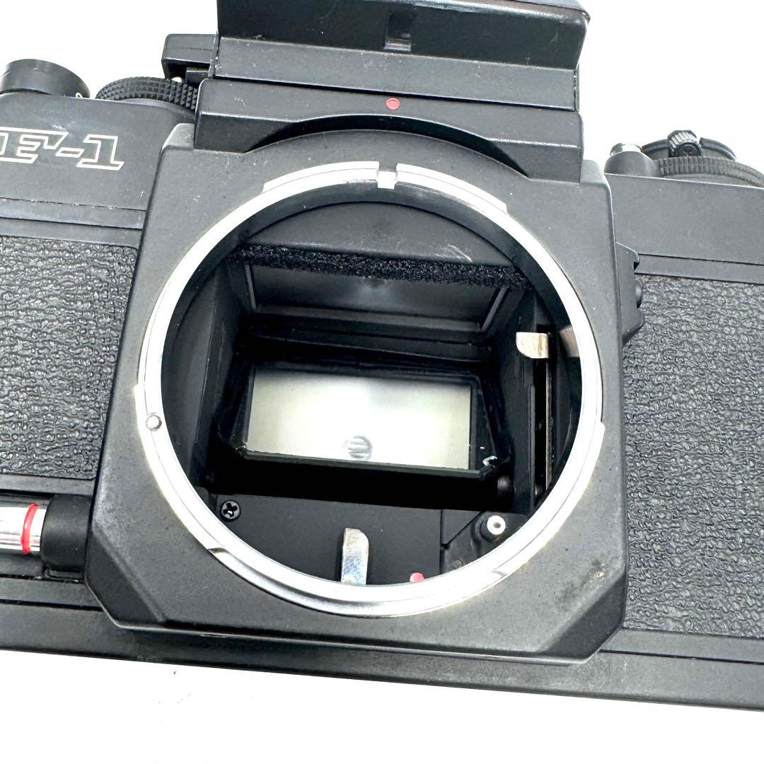 ❁完動品❁キャノン CANON New F-1 AEファインダー ボディ