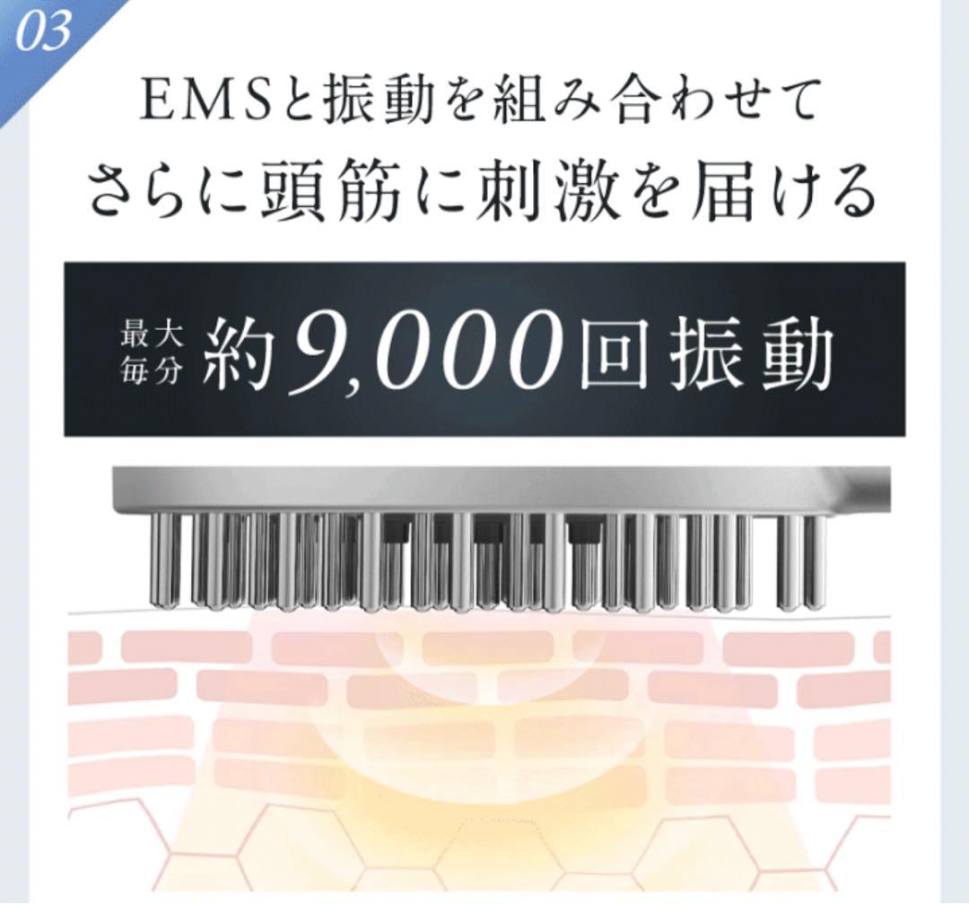 EMS電気ブラシ美顔器 【NIPLUX EMS LIFT BRUSH】超美品