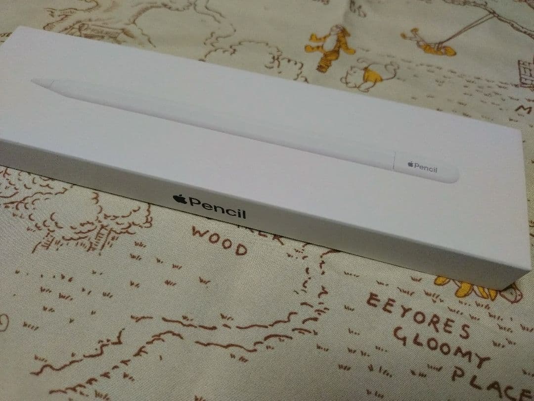 Apple Pencil（USB-Cタイプ）ホワイト元箱付き