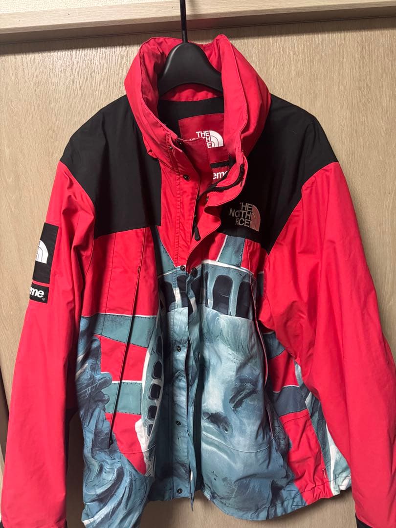 専用Supreme × THE NORTH FACE自由の女神 マウンテン