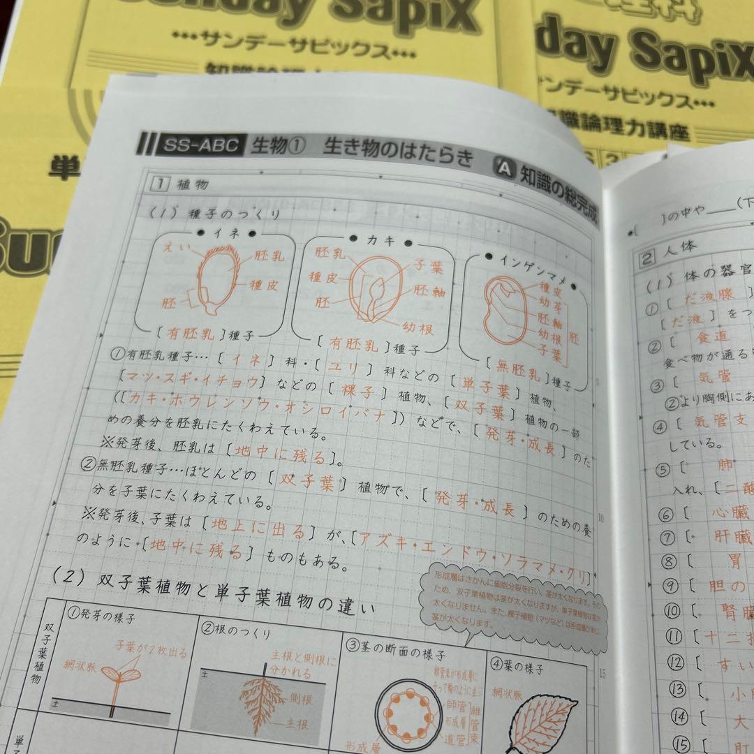 希少❣️㉓あ　書き込みなし　サピックス　Sunday SapiX 理科単科　6年