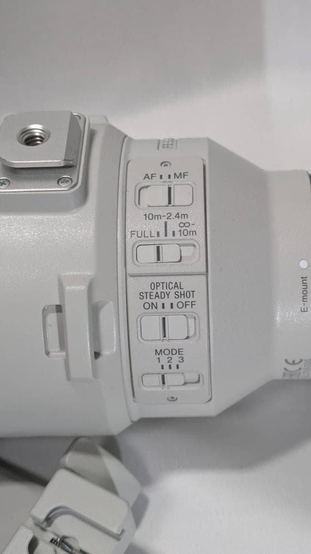 レンズ(ズーム) FE200-600mm F5.6-6.3 G OSS SEL200600G