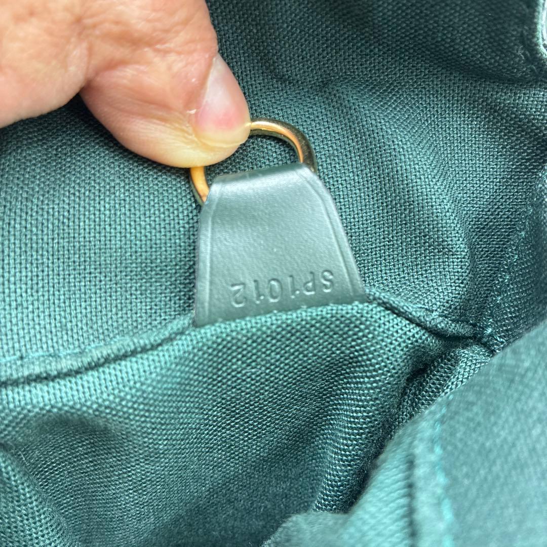 ルイヴィトン メッセンジャーバッグ メンズ デルスー エピセア タイガ