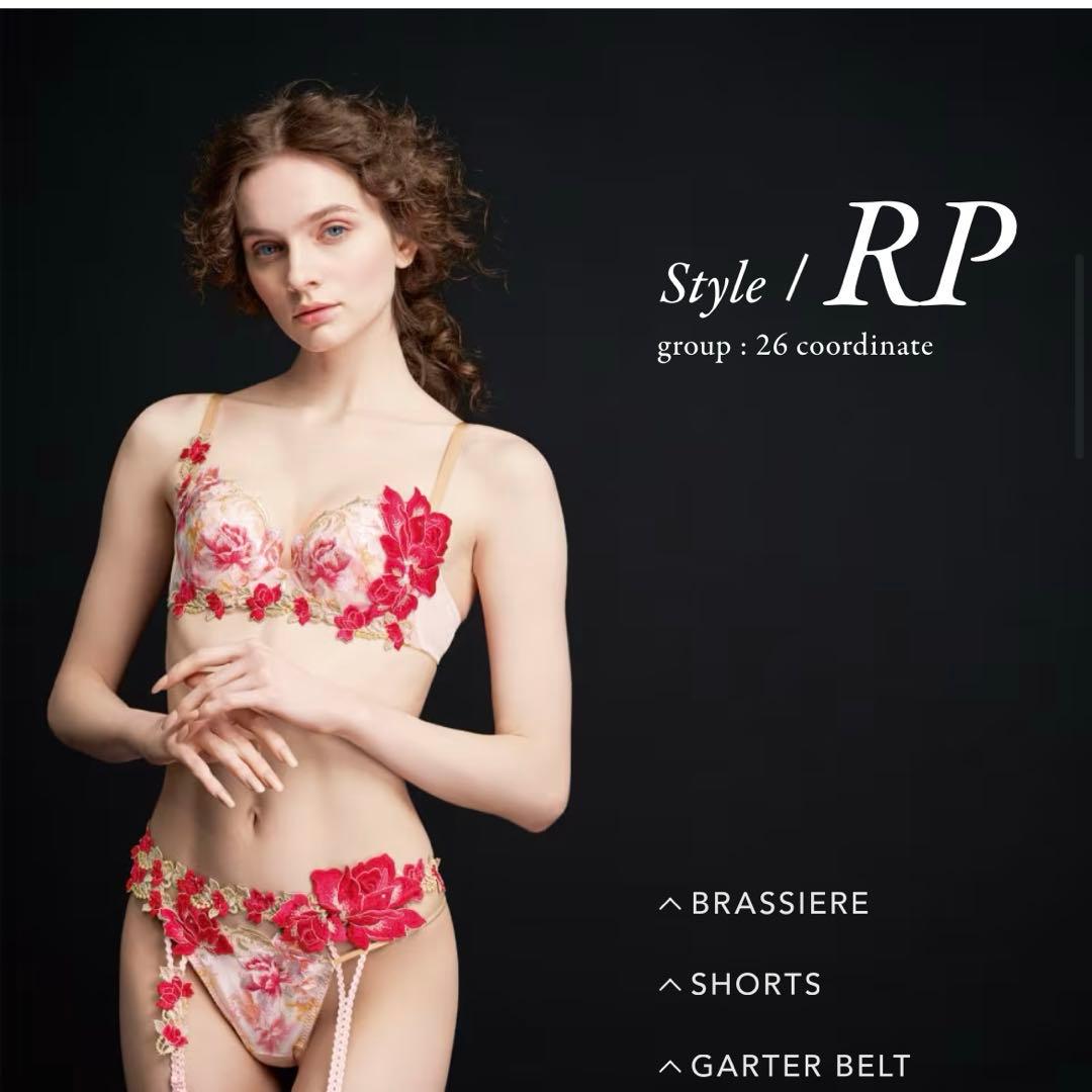 新品未使用 サルート 26group 4点セット E65