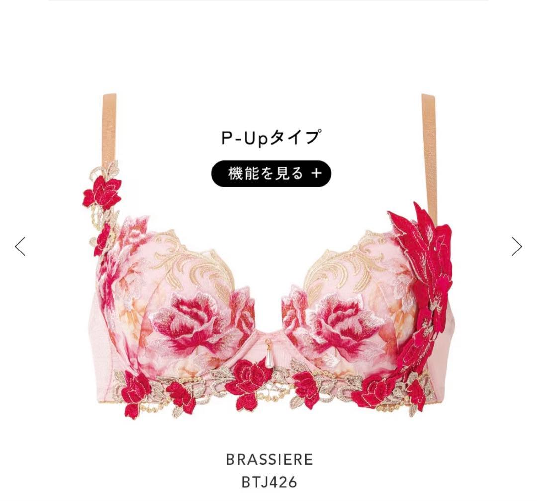 新品未使用 サルート 26group 4点セット E65