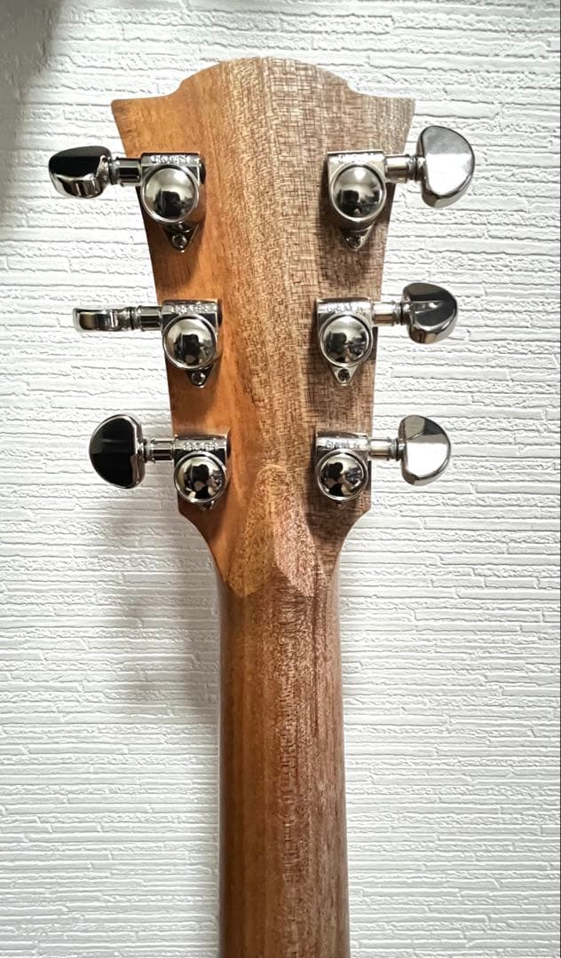 今月末まで　Cole Clark FL1E-BM 最終値下げ