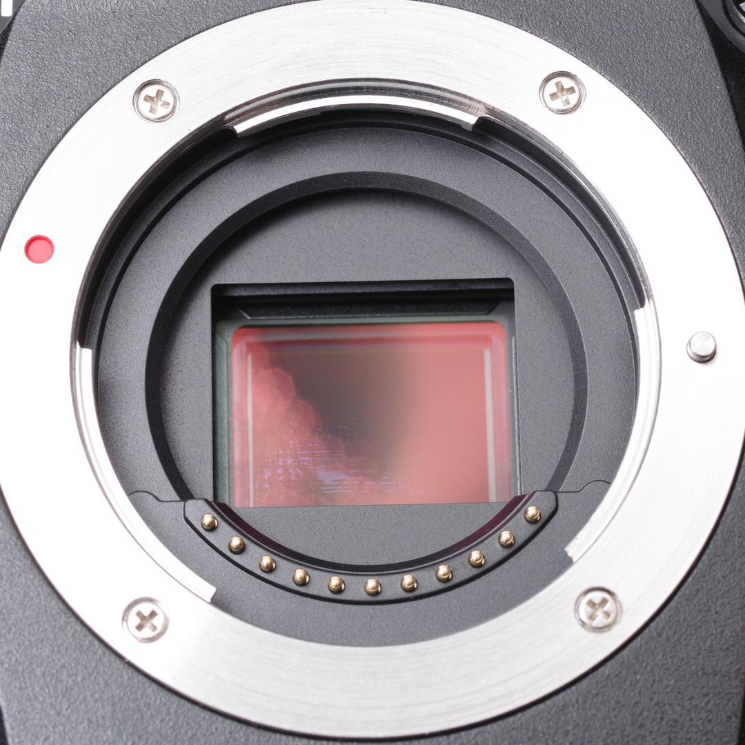 OM SYSTEM OM-1 箱付 フラッシュなど OLYMPUS