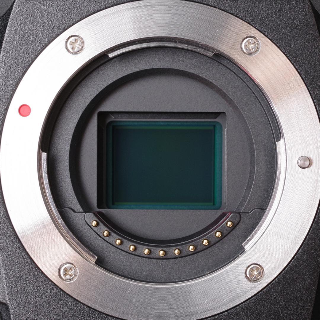 OM SYSTEM OM-1 箱付 フラッシュなど OLYMPUS