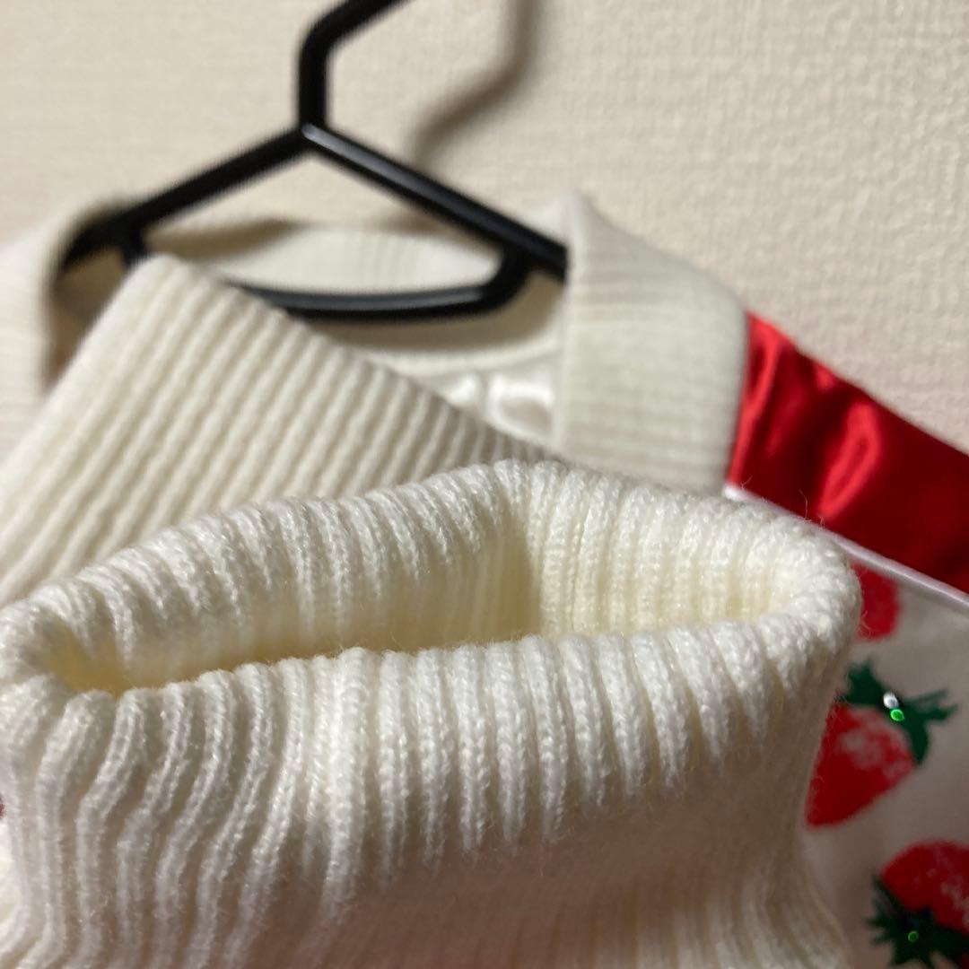 WONDER WORKSHOP ポールマッカートニー　ストロベリー　macca