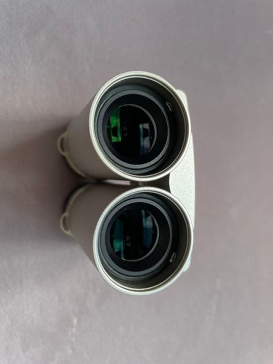 Carton ATTRAIT-J 5×15シャンパンゴールド日本製