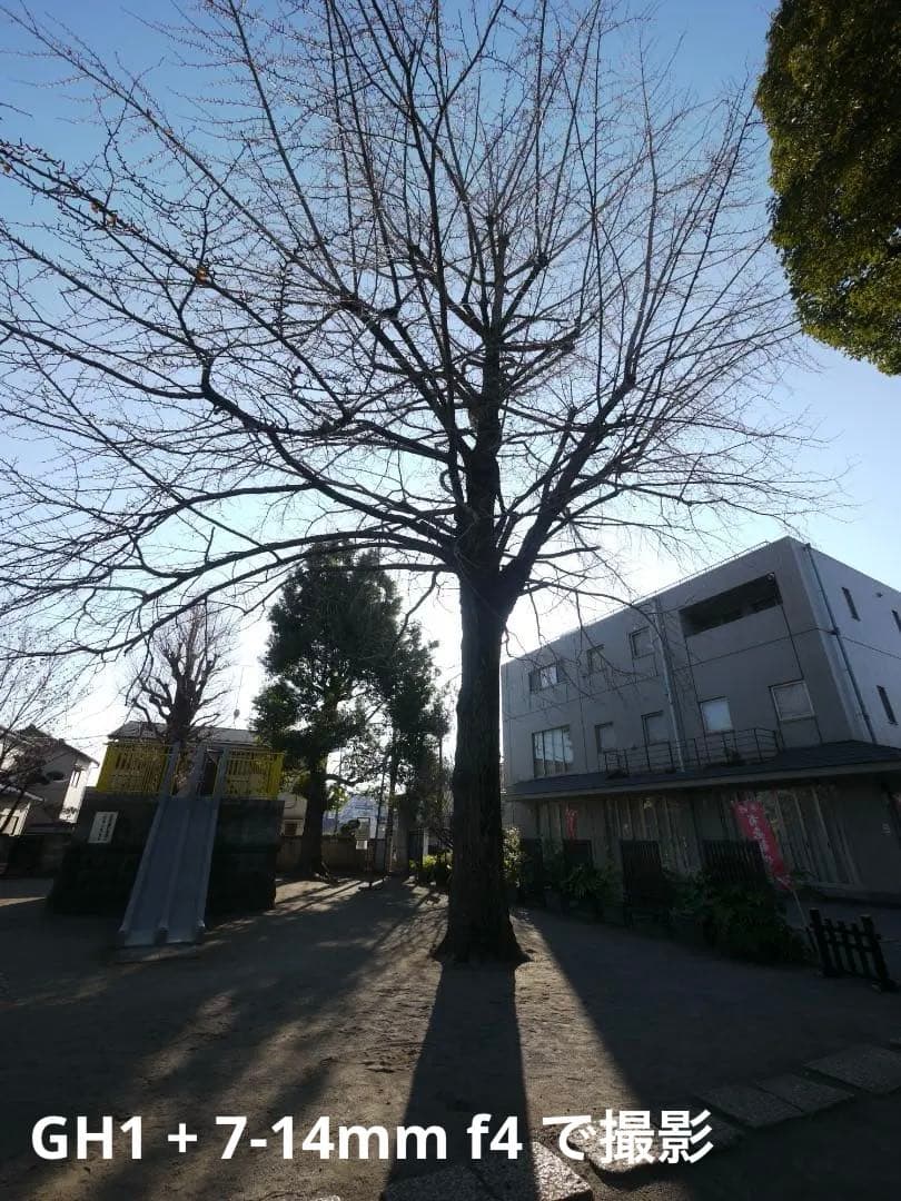 【早い者勝ち】Panasonic LUMIX DMC-GH1 ボディ