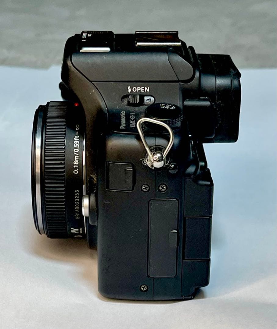 【早い者勝ち】Panasonic LUMIX DMC-GH1 ボディ