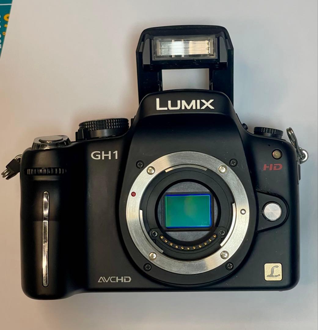 【早い者勝ち】Panasonic LUMIX DMC-GH1 ボディ
