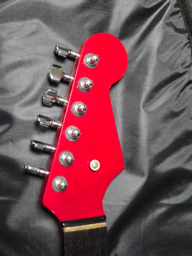 海*ん様 ESPカスタムオーダーギター