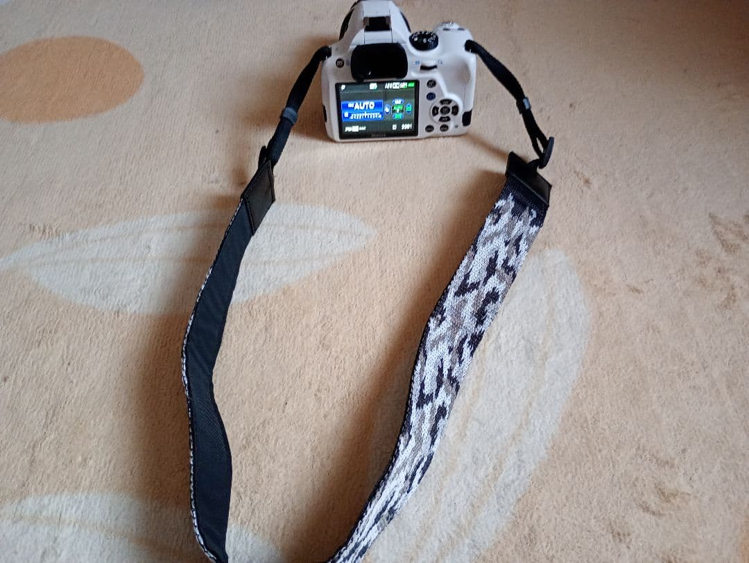 ショット数800枚弱！PENTAX K-50 ホワイト　レンズキット＆送料込み！