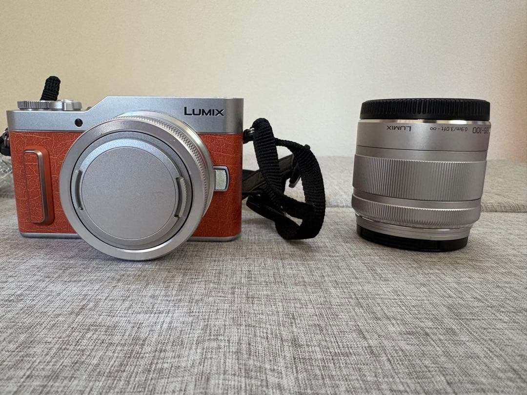 LUMIX GF10WA 4Kデジタルカメラ