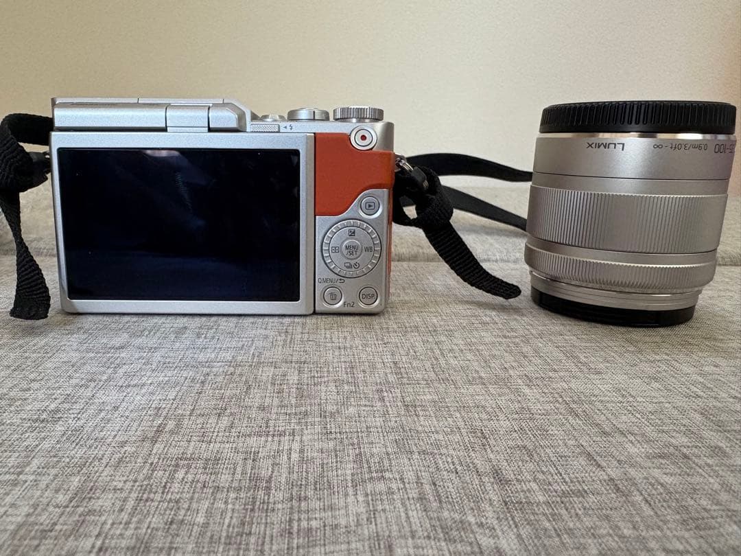 LUMIX GF10WA 4Kデジタルカメラ