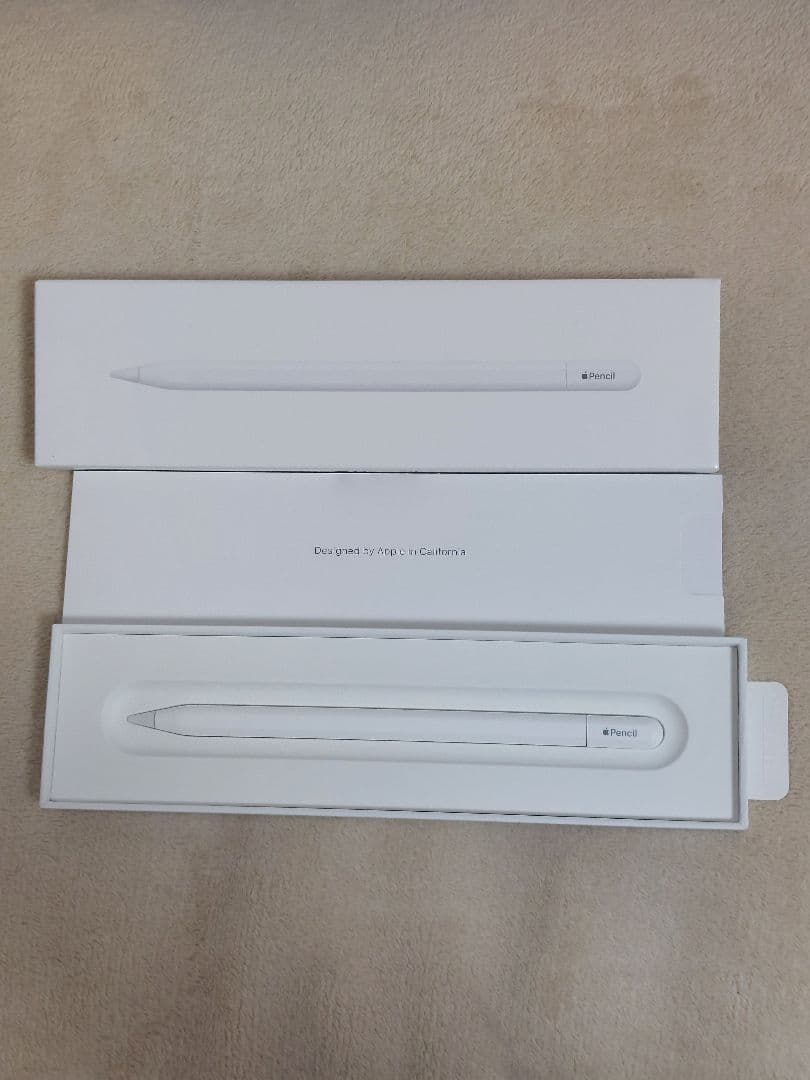 Apple Pencil Type-C iPad アップルペンシル USBC