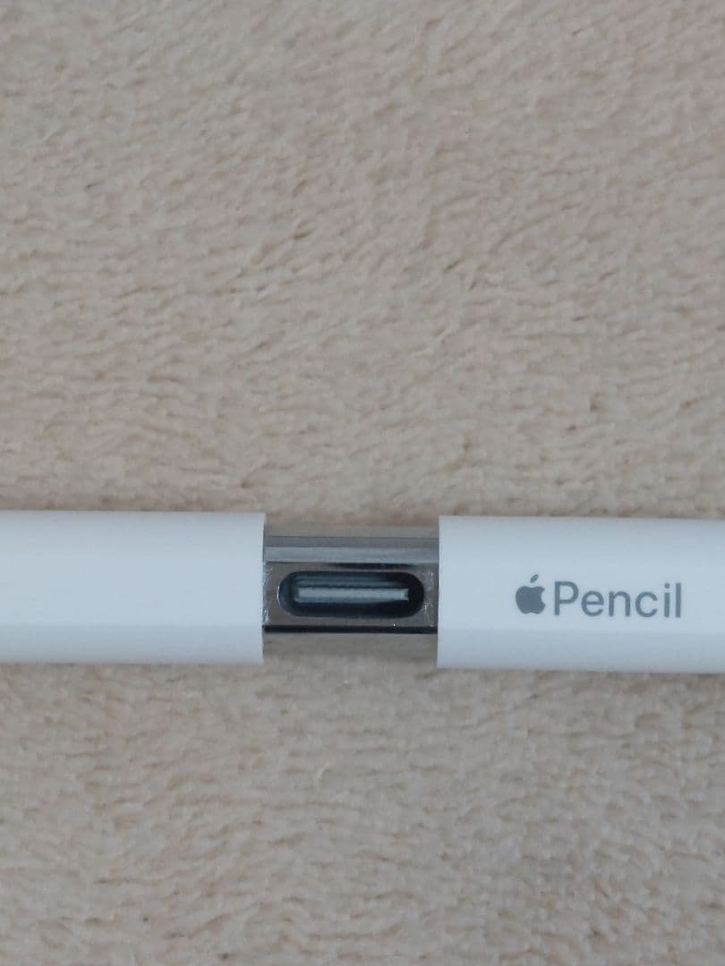 Apple Pencil Type-C iPad アップルペンシル USBC