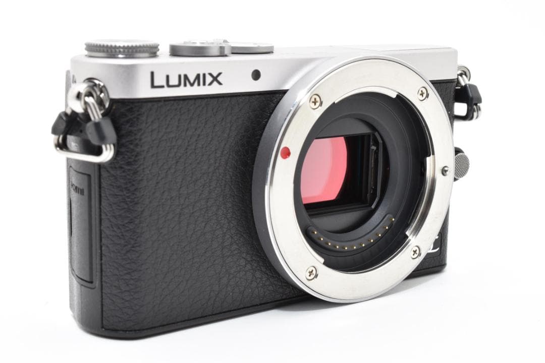 ■美品■ パナソニック LUMIX DMC-GM1