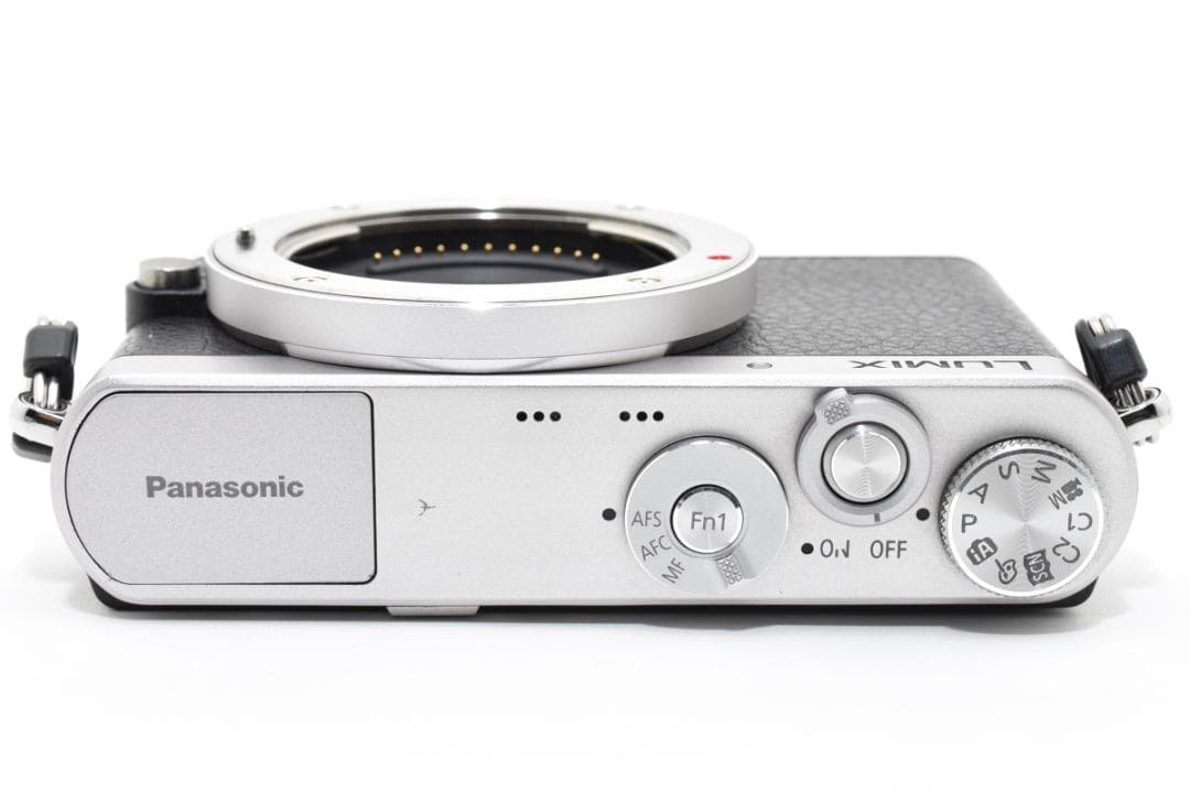 ■美品■ パナソニック LUMIX DMC-GM1