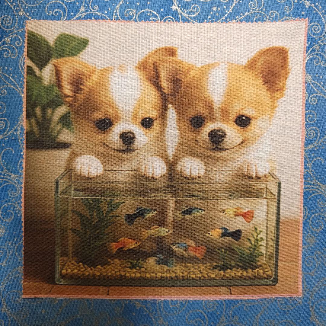 黒ねこ専用　パネル　チワワちゃん柄　45枚